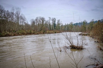 Cedar River reached its highest flow since 2009